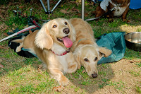 picnic_land_A-0172.jpg