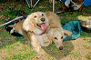 picnic_land_A-0172_thumb.png