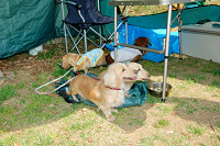 picnic_land_A-0173.jpg