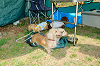 picnic_land_A-0173_thumb.png