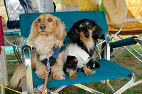 picnic_land_A-0174.jpg