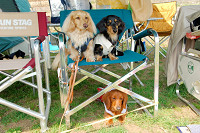 picnic_land_A-0175.jpg