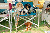 picnic_land_A-0175_thumb.png