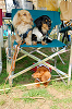 picnic_land_A-0176_thumb.png