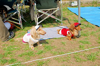 picnic_land_A-0179.jpg