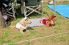 picnic_land_A-0179_thumb.png