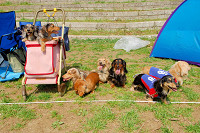 picnic_land_A-0184.jpg