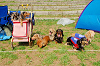picnic_land_A-0184_thumb.png