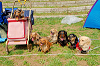 picnic_land_A-0186_thumb.png