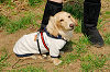 picnic_land_A-0187_thumb.png