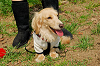 picnic_land_A-0188_thumb.png