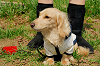 picnic_land_A-0189_thumb.png