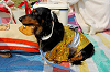 picnic_land_A-0198_thumb.png