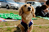 picnic_land_A-0205_thumb.png