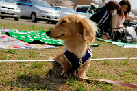 picnic_land_A-0206.jpg