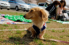picnic_land_A-0206_thumb.png