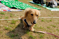 picnic_land_A-0207.jpg