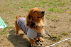 picnic_land_A-0209_thumb.png