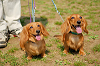 picnic_land_A-0213_thumb.png