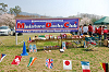 picnic_land_A-0218_thumb.png