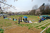 picnic_land_A-0220_thumb.png