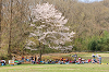 picnic_land_A-0224_thumb.png