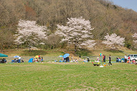 picnic_land_A-0225.jpg