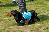 picnic_land_A-0227_thumb.png