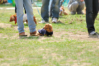 picnic_land_A-0229.jpg