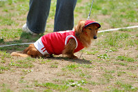 picnic_land_A-0230.jpg