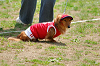 picnic_land_A-0230_thumb.png
