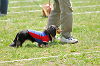 picnic_land_A-0232_thumb.png