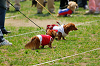 picnic_land_A-0233_thumb.png