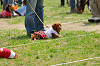picnic_land_A-0235_thumb.png