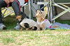 picnic_land_A-0236_thumb.png
