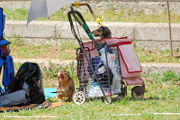 picnic_land_A-0237.jpg