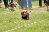 picnic_land_A-0244_thumb.png