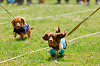 picnic_land_A-0246_thumb.png
