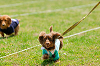 picnic_land_A-0247_thumb.png