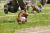picnic_land_A-0249_thumb.png