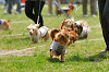 picnic_land_A-0251_thumb.png