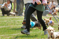 picnic_land_A-0252.jpg