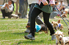 picnic_land_A-0252_thumb.png