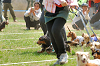 picnic_land_A-0253_thumb.png