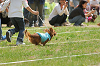 picnic_land_A-0254_thumb.png