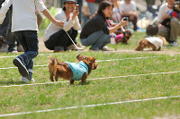 picnic_land_A-0255.jpg