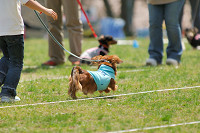 picnic_land_A-0256.jpg