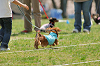 picnic_land_A-0256_thumb.png