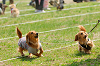 picnic_land_A-0259_thumb.png