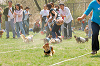 picnic_land_A-0262_thumb.png